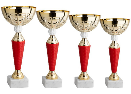 Set 4 Coppe da 31 - 28 - 26 - 24 cm | Cod. 13.409G