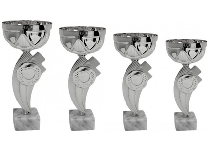 Set 4 Coppe da 24 - 23 - 22 - 21 cm | Cod. 13.219S