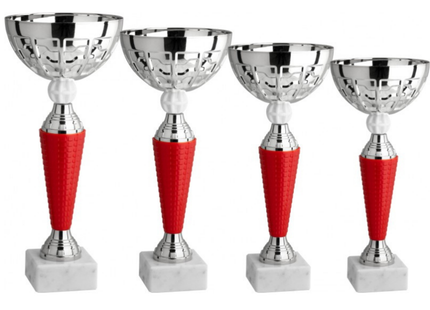 Set 4 Coppe da 31 - 28 - 26 - 24 cm | Cod. 13.409S