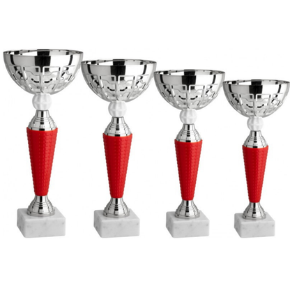 Set 4 Coppe da 31 - 28 - 26 - 24 cm | Cod. 13.409S