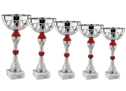 Set di 5 coppe personalizzate 33 - 30 - 28 - 25 - 22 cm | Cod. 13.249S