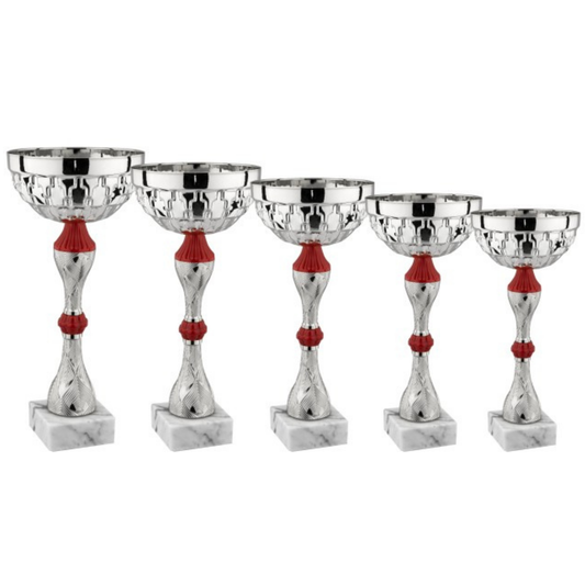 Set di 5 coppe personalizzate 33 - 30 - 28 - 25 - 22 cm | Cod. 13.249S