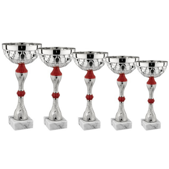 Set di 5 coppe personalizzate 33 - 30 - 28 - 25 - 22 cm | Cod. 13.249S