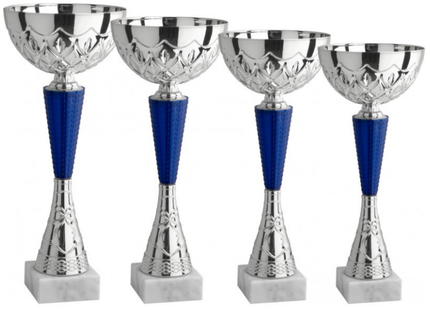 Set 4 Coppe da 35 - 33 - 30 - 27 cm | Cod. 13.039S