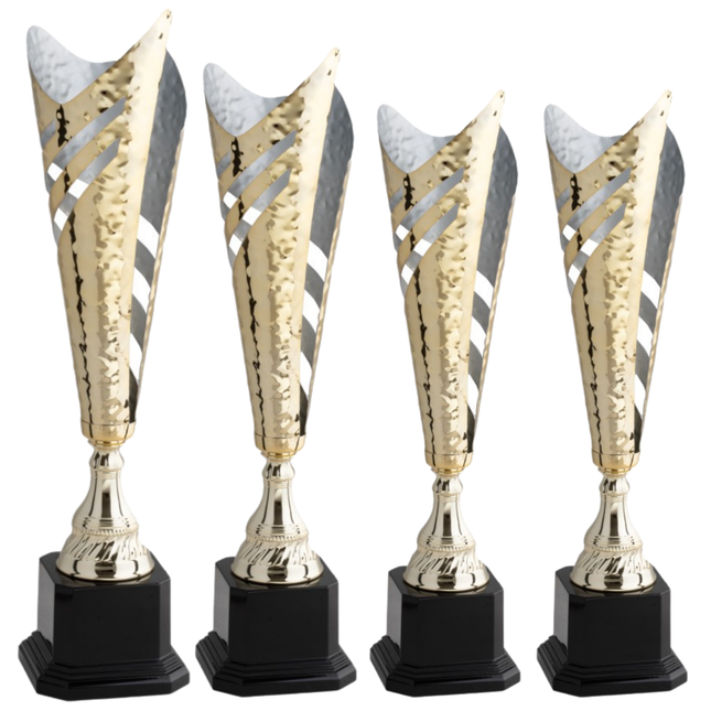 Set da 4 trofei personalizzati 49 - 43 - 38 - 38 cm | Cod. 4.559A