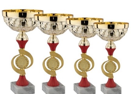 Set 4 Coppe da 29 - 27 - 25 - 23 cm | Cod. 13.559G