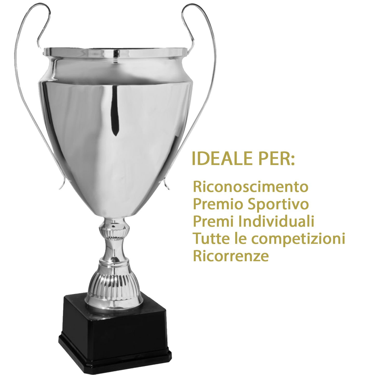 Coppa trofeo da 51 cm, peso da 3 Kg | Cod. 1.183