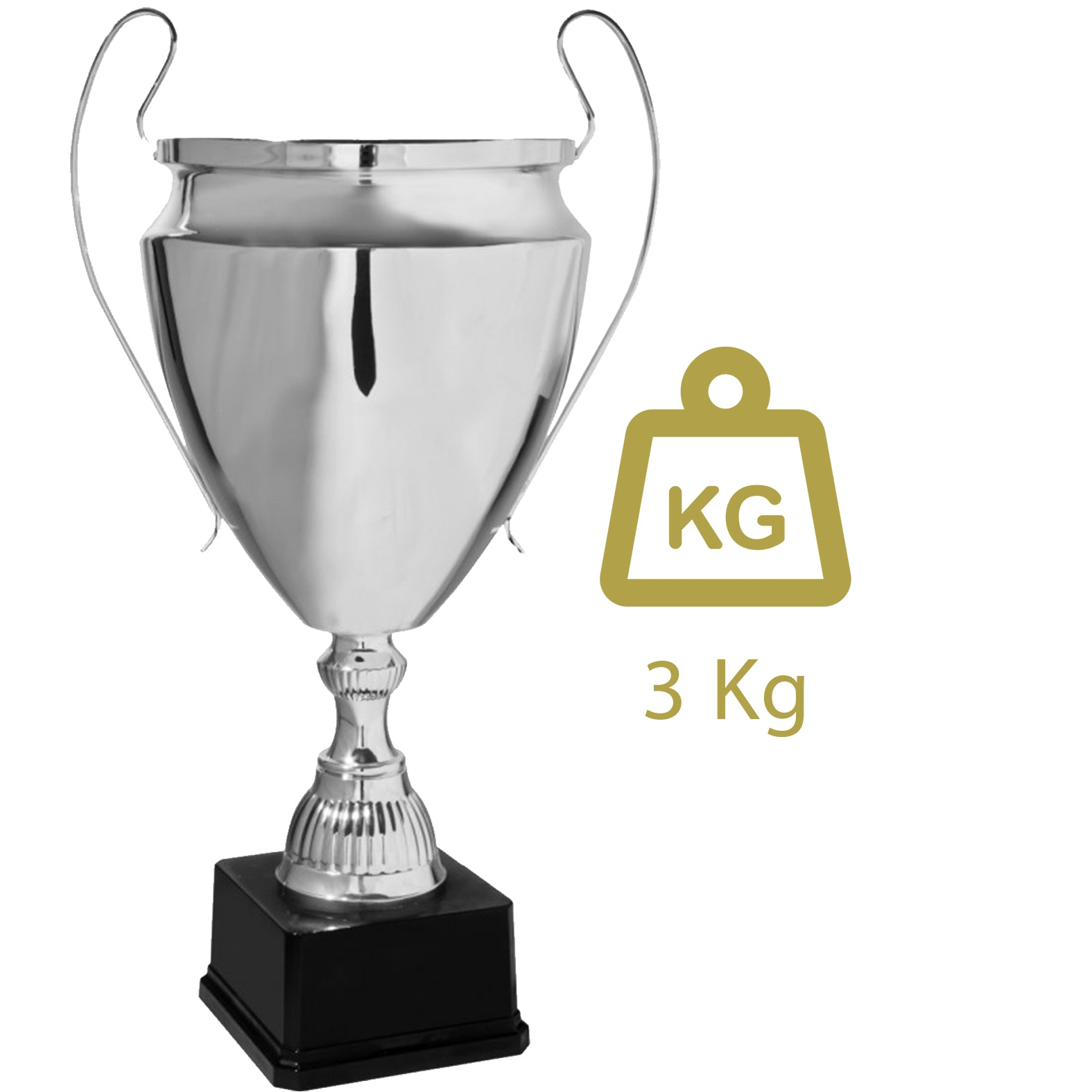 coppa trofeo personalizzata da 51 cm con targhetta