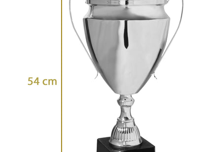 coppa trofeo personalizzata da 54 cm con targhetta