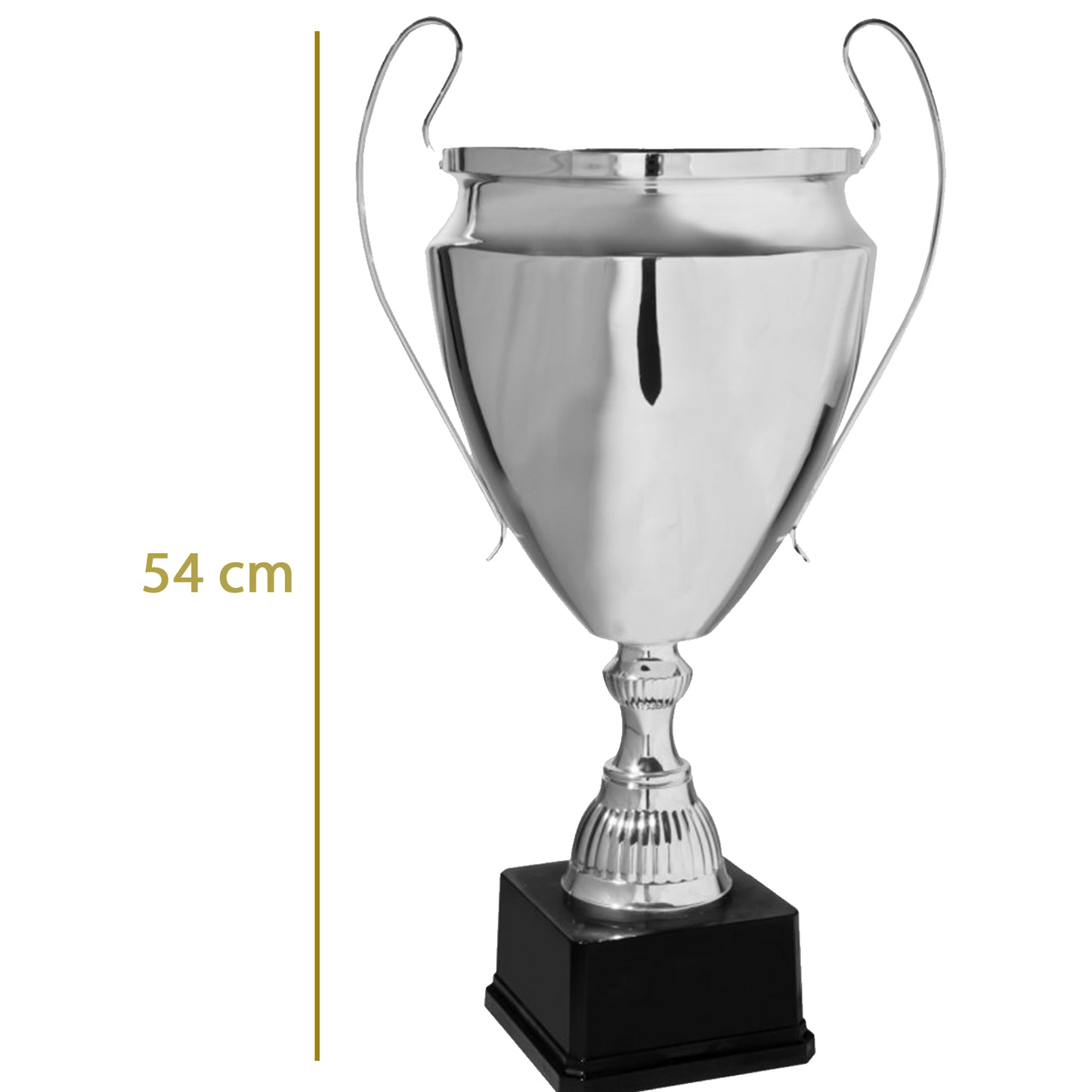 coppa trofeo personalizzata da 54 cm con targhetta