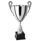 coppa trofeo personalizzata da 49 cm con targhetta