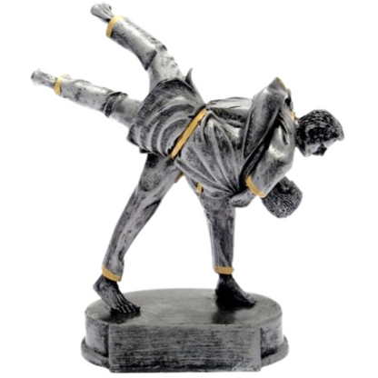 Premiazione personalizzata judo