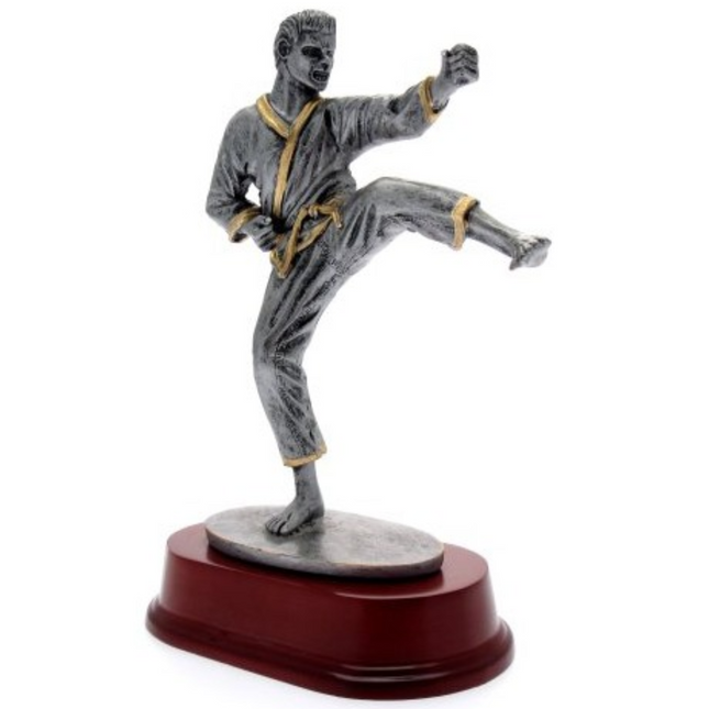 Premiazione personalizzata Karate