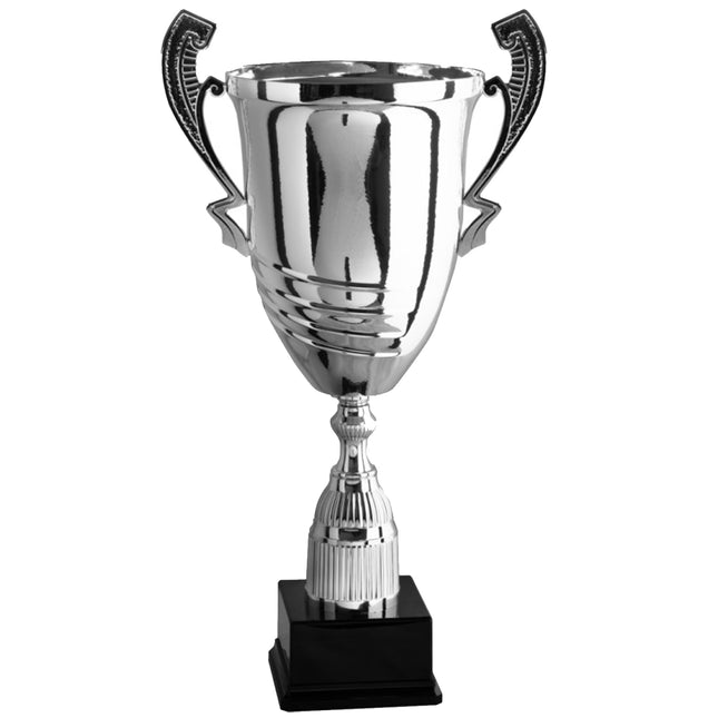 coppa trofeo personalizzata da 46 cm con targhetta