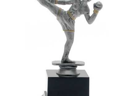 Premiazione personalizzata kick boxing