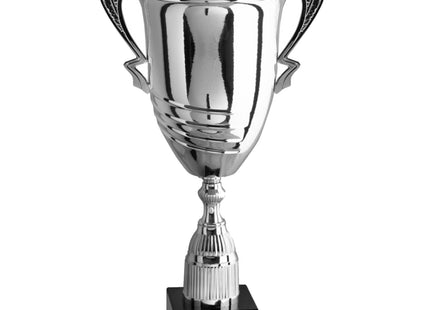 coppa trofeo personalizzata da 70 cm con targhetta