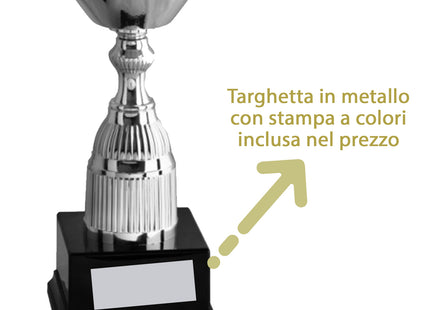 Coppa trofeo da 57 cm, peso da 2,8 Kg | Cod. 1.103