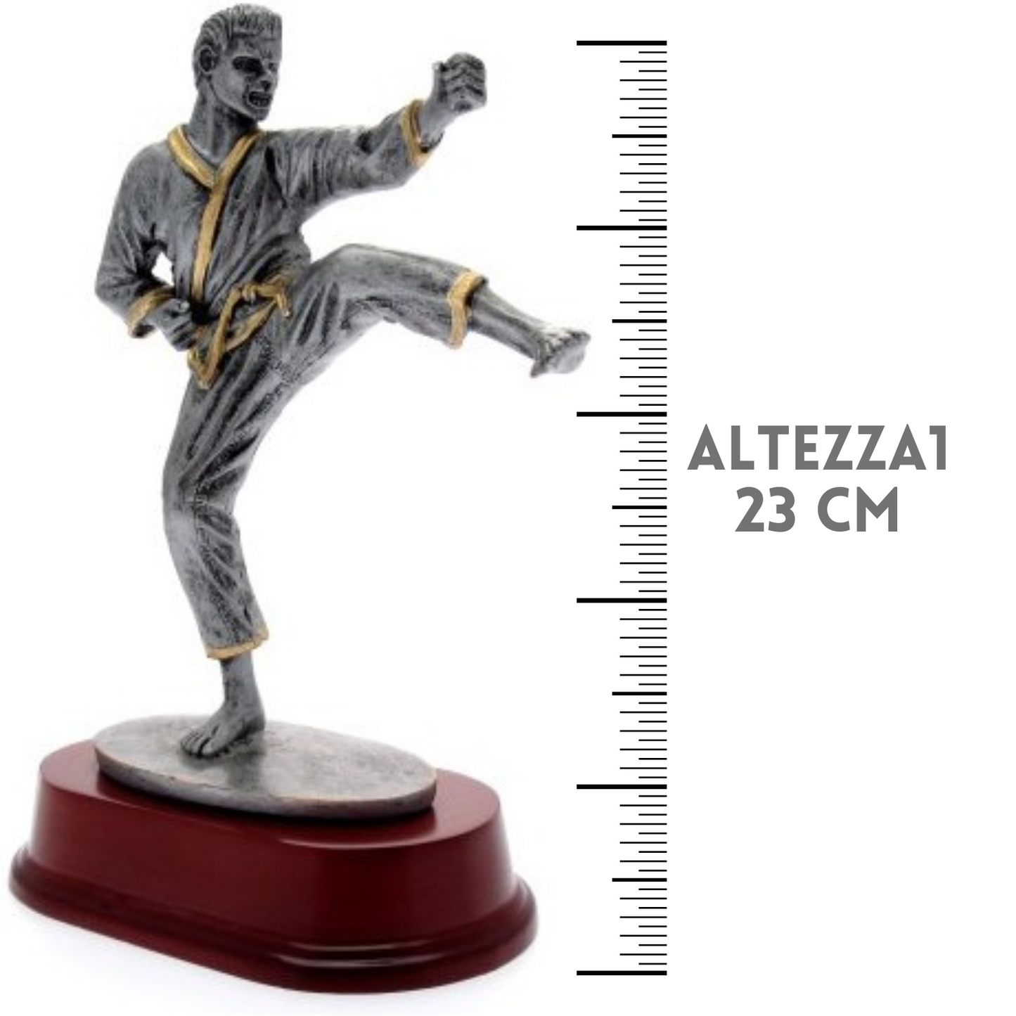 Premiazione personalizzata Karate