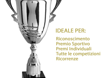 Coppa trofeo da 65 cm, peso da 3,4 Kg | Cod. 1.102