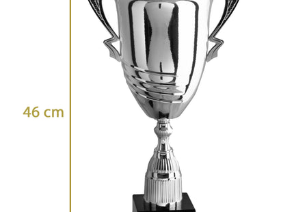 coppa trofeo personalizzata da 46 cm con targhetta