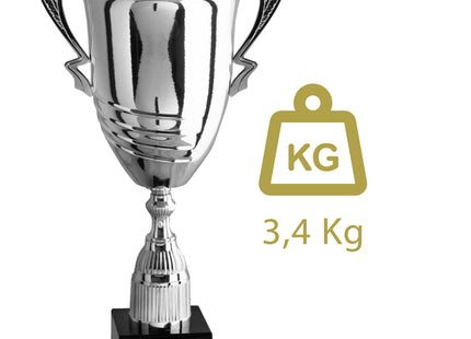 coppa trofeo personalizzata da 65 cm con targhetta