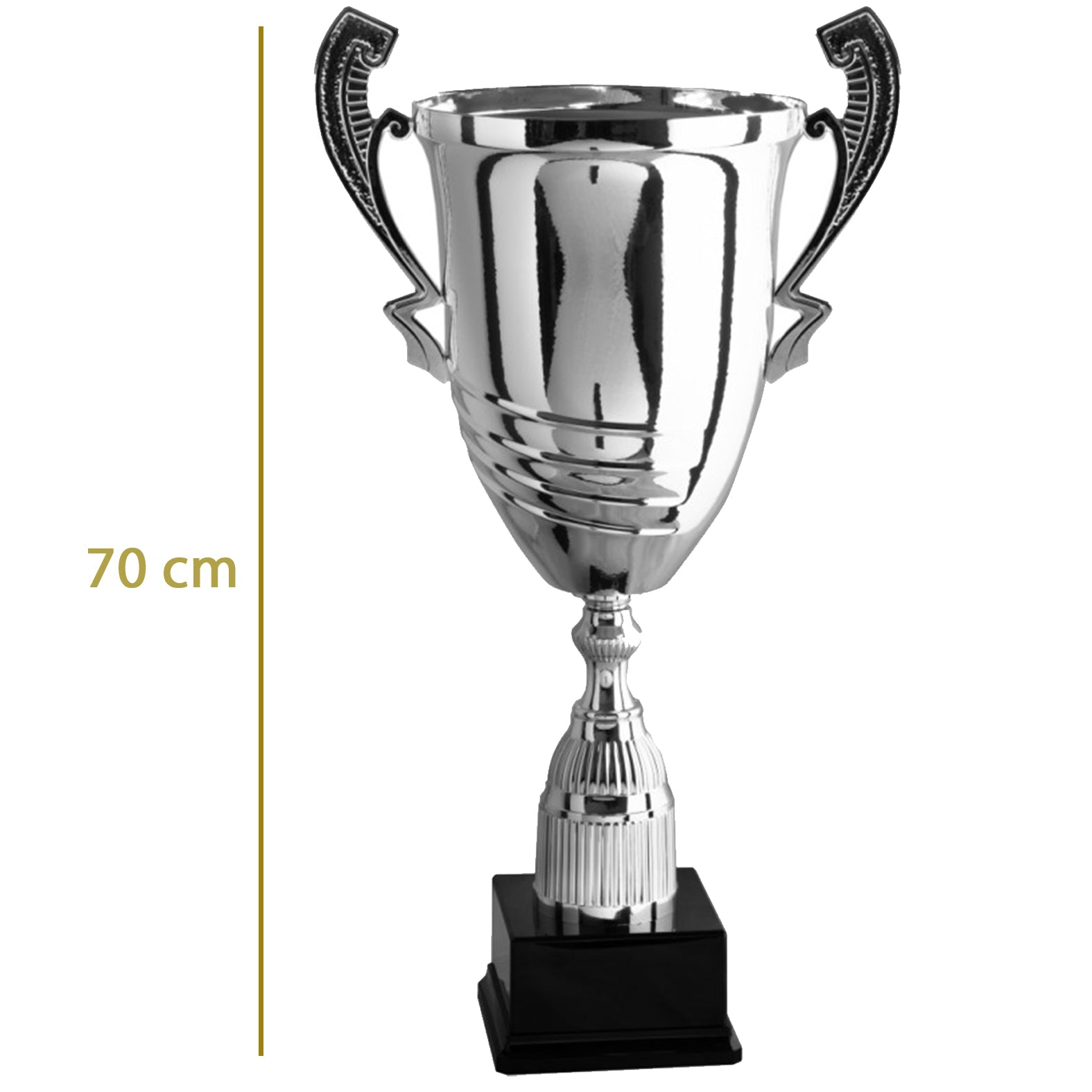 coppa trofeo personalizzata da 70 cm con targhetta
