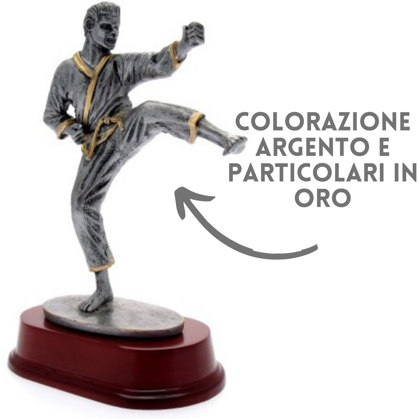 Premiazione personalizzata Karate