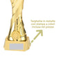 Premiazioni personalizzate premio calcio coppa del mondo