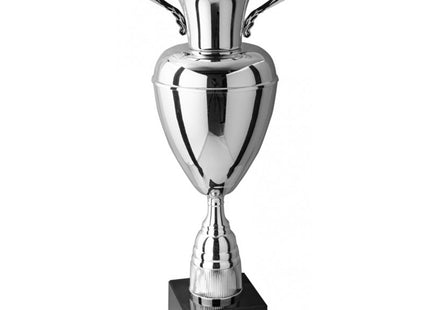 coppa trofeo personalizzata da 60 cm con targhetta