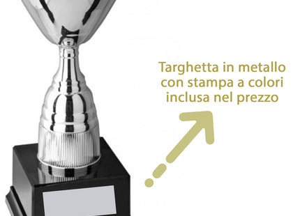 coppa trofeo personalizzata da 57 cm con targhetta